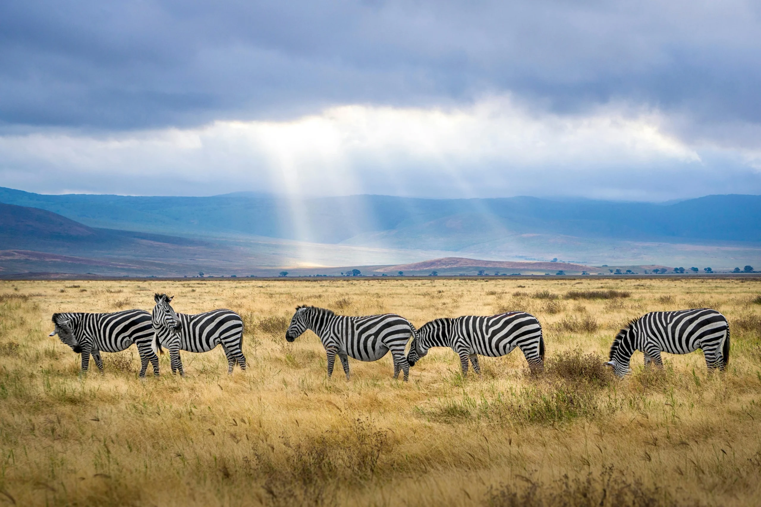 Tanzania 3 Nights / 4 Days